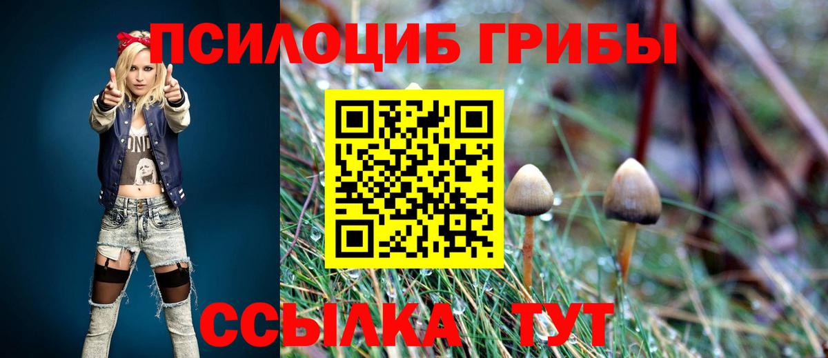 Галлюциногенные грибы Psilocybine cubensis Краснодар