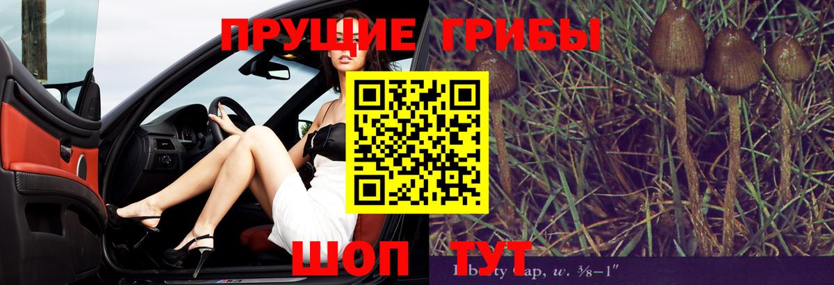 Краснодар  Псилоцибиновые грибы Cubensis  Вход с VPN  Галлюциногенные грибы мицелий 