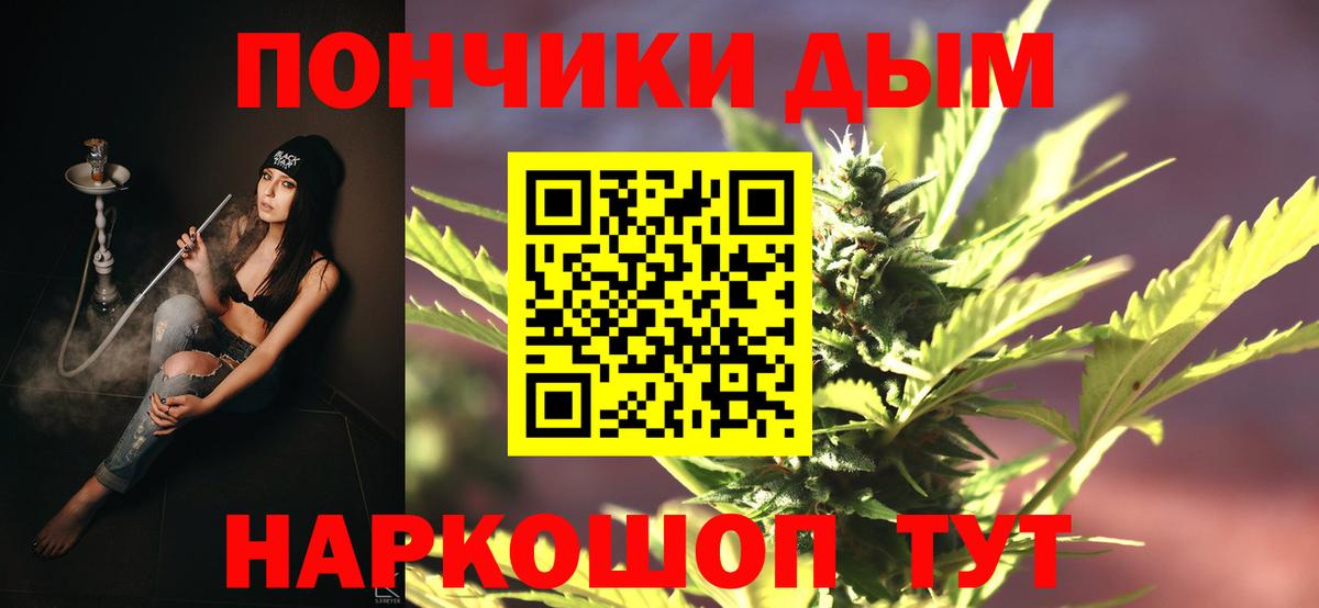 Каннабис сатива Краснодар